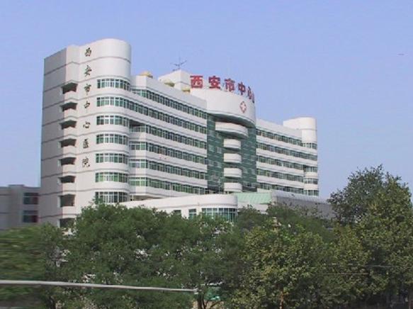 成功案例